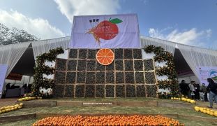 Rüsoma Orange Festival organised in Nagaland